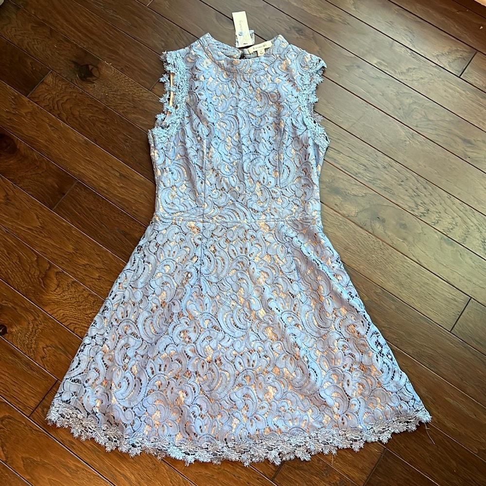 francesca’s lace dress with back cut out in Oxford blue medium